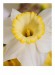 KOKO_IMG_6494web