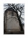 450D01 069web.jpg
