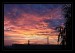 IMG_0370_web