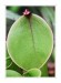 KOKO_IMG_1189_web