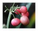 KOKO_IMG_1194_web