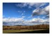 IMG_0418_web
