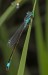 IMG_0052_uprava