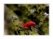 IMG_1480web.jpg
