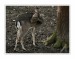 IMG_1503web.jpg