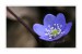 IMG_1566web.jpg