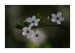 b_IMG_4251web.jpg
