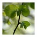 IMG_4379web.jpg