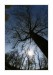 IMG_4402web.jpg