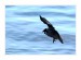IMG_0495web.jpg
