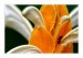 IMG_3758web.jpg