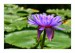 f_IMG_3770web.jpg
