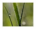 IMG_0766web.jpg