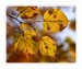 IMG_5415web.jpg